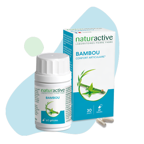 Bambou - Naturactive