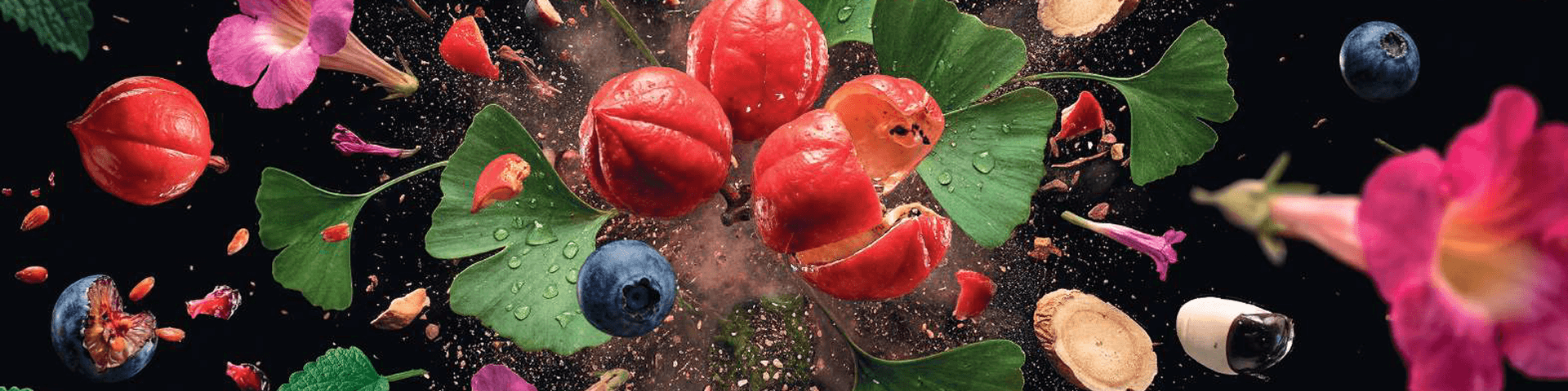 Fruits, plantes et actifs de la formule Synxpert