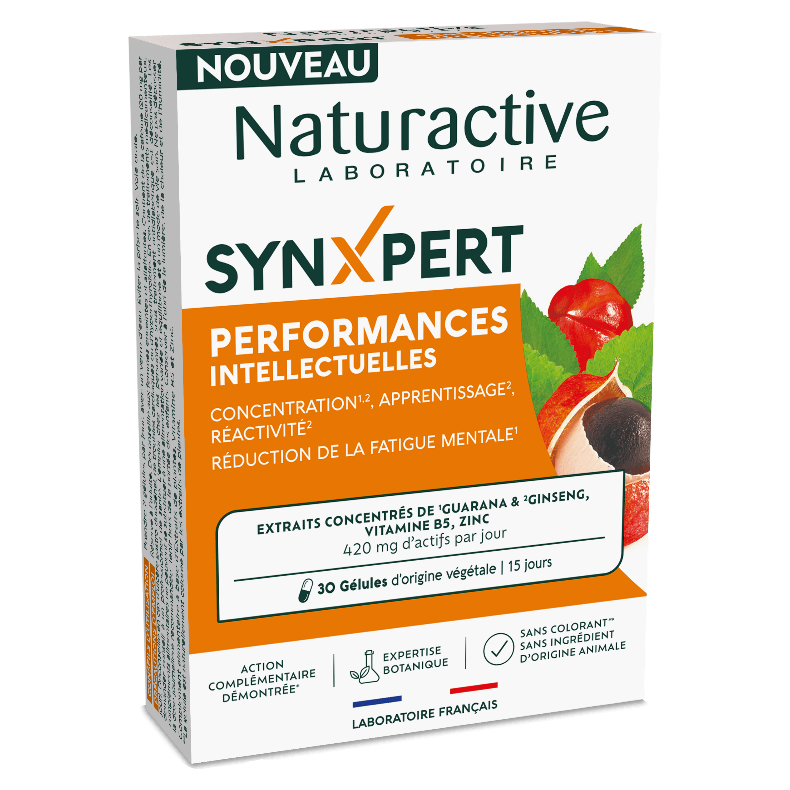 Boîte Synxpert Performances intellectuelles