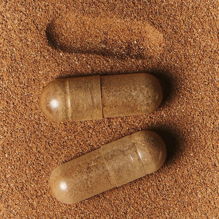 Gélules Naturactive
