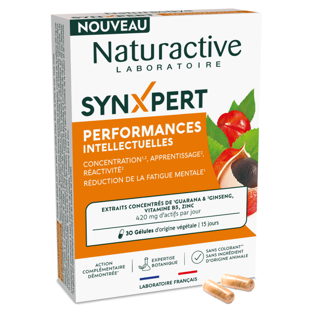 SynXpert Performances Intellectuelles
