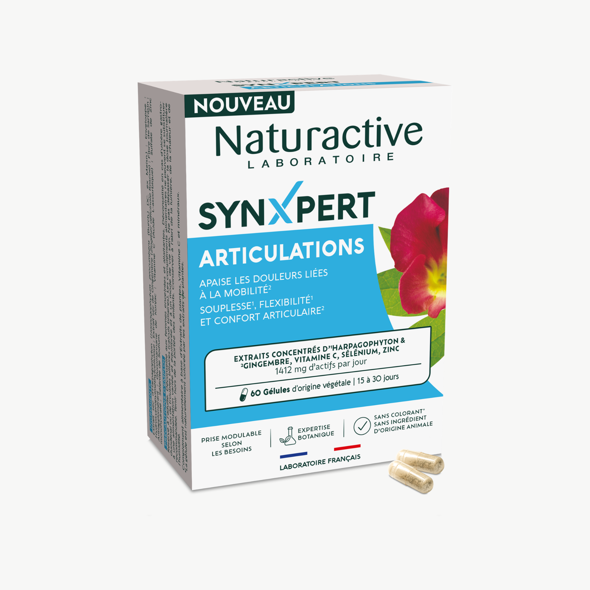 SynXpert Articulations - front Pack