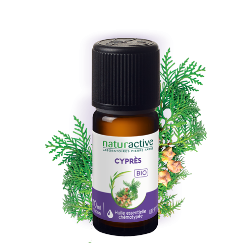 Huile essentielle Cyprès