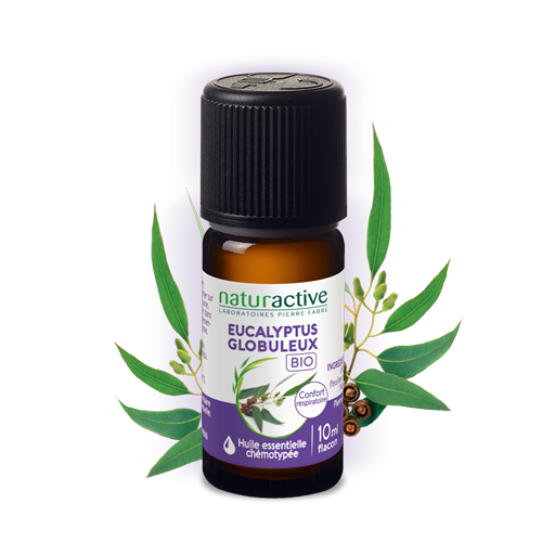 Huile essentielle eucalyptus globuleux