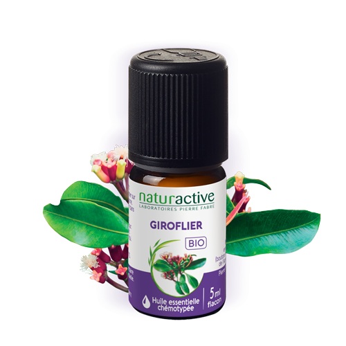 Huile essentielle giroflier