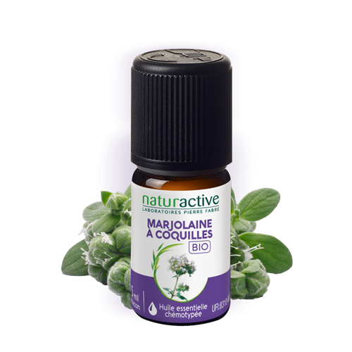 HE marjolaine a coquilles