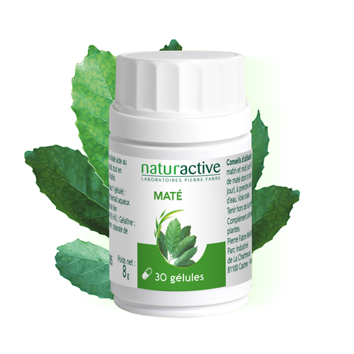 Gélules Mate Naturactive