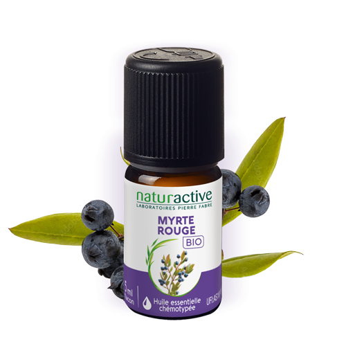 HE myrte rouge
