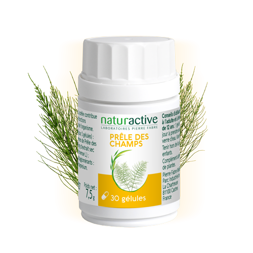 Gélules Prele des champs Naturactive