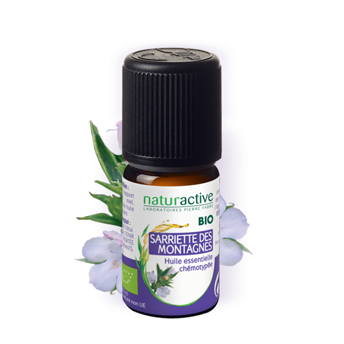 Sarriette des montagnes 