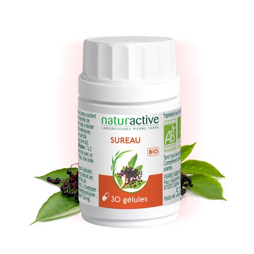 Gélules Sureau Naturactive