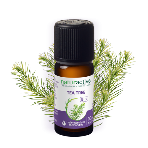 HE Tea tree