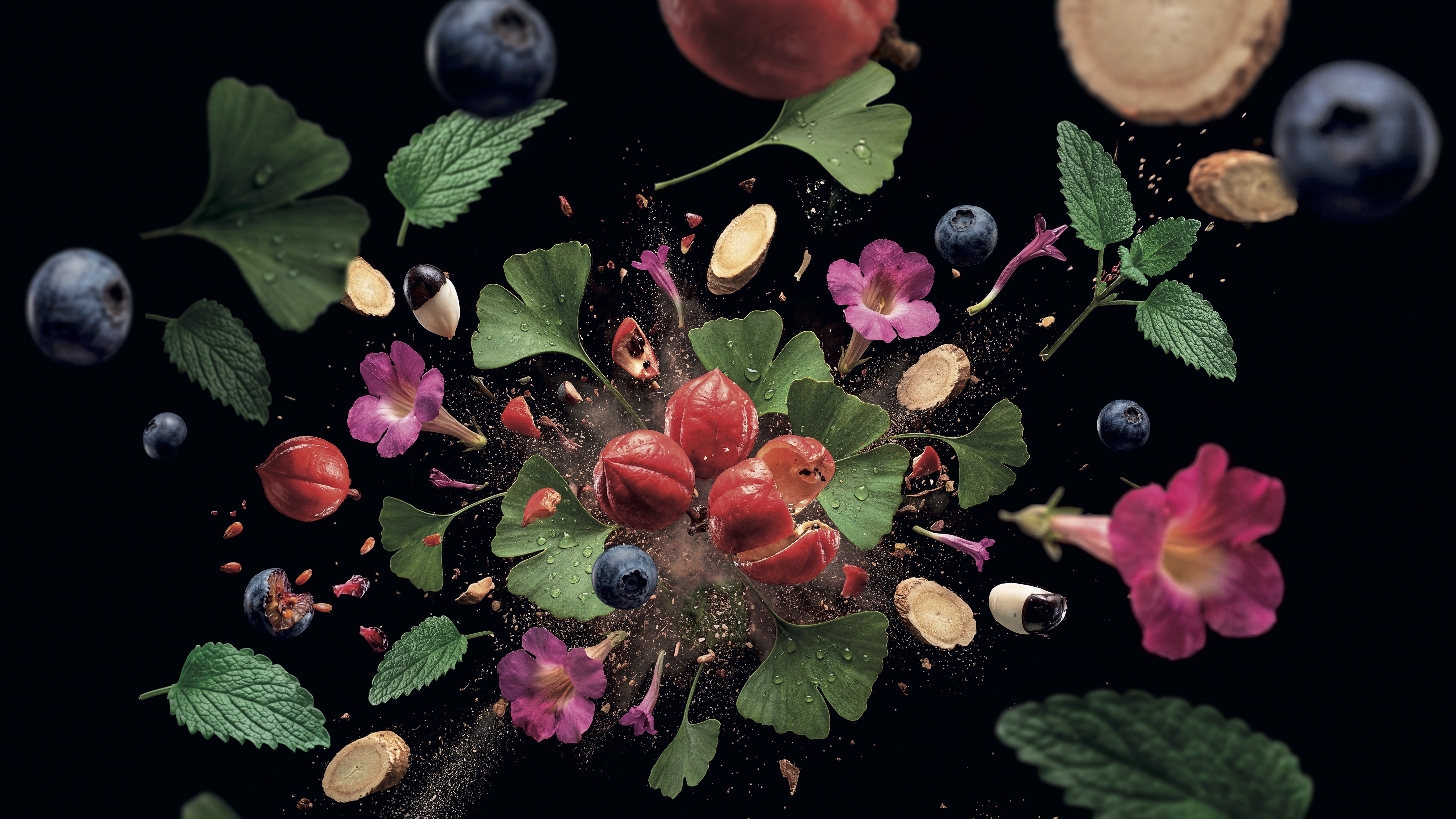 Visuel SynXpert explosion de plantes