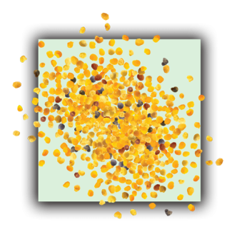 Pollen
