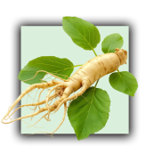 Ginseng