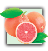 Pamplemousse