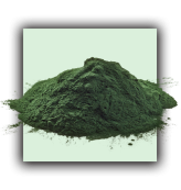 Spiruline V2