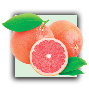 Pamplemousse