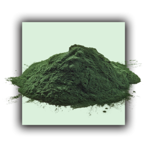 Spiruline V2