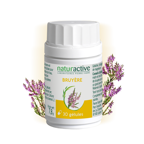 Gélules de Bruyère phytothérapie