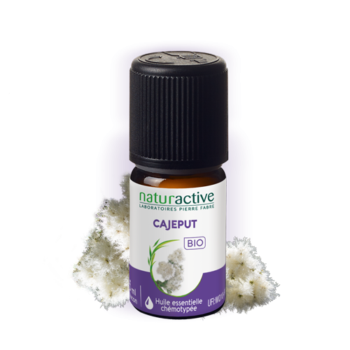 Huile essentielle Cajeput 