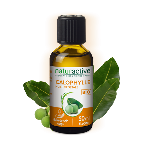 Huile végétale de Calophylle