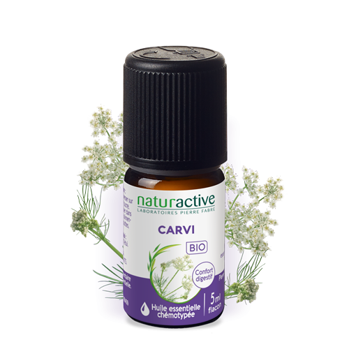 Huile essentielle carvi 
