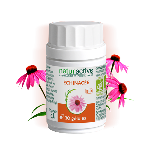 Gélules de Echinacée phytothérapie