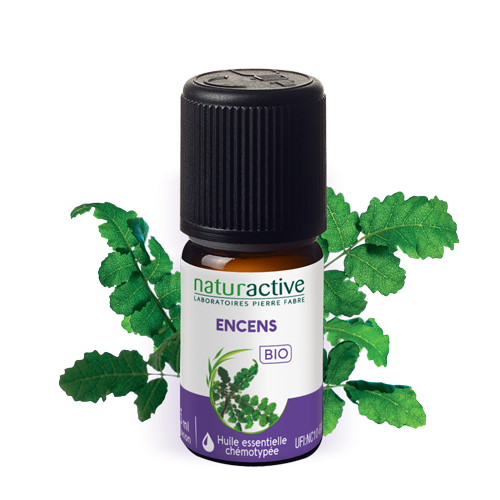 Huile essentielle encens