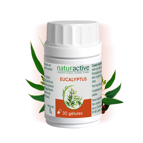 Gélules de Eucalyptus phytothérapie