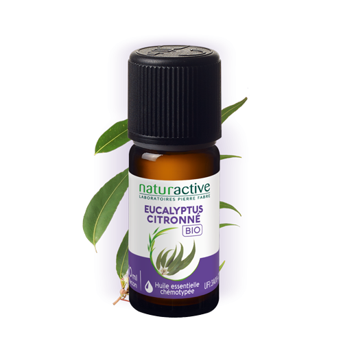 Huile essentielle eucalyptus citronné