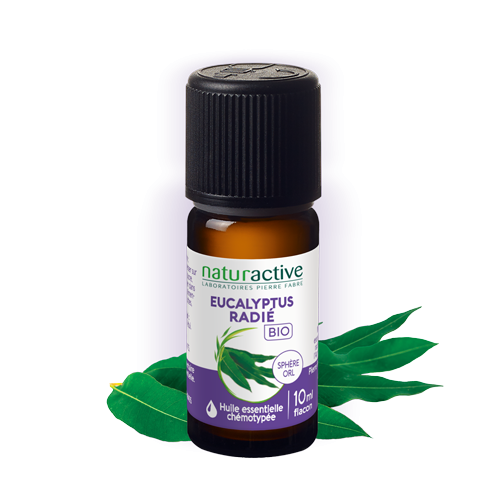 Huile essentielle eucalyptus radié