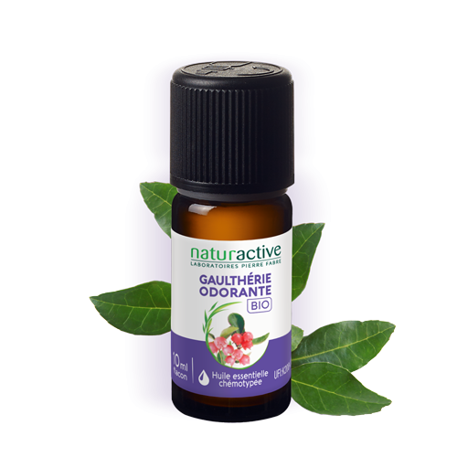 HE gaultherie odorante