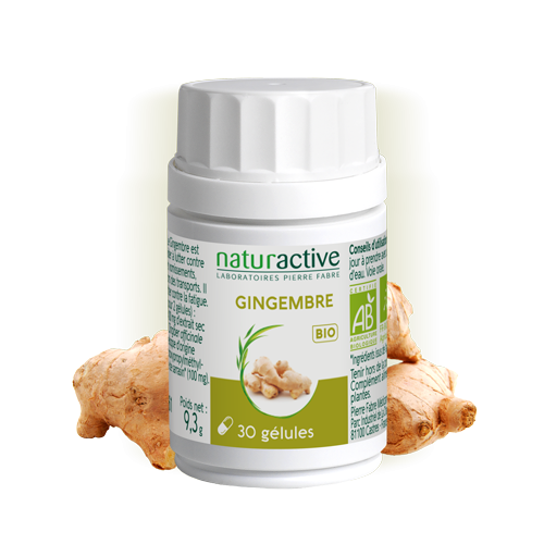 Gélules de Gingembre phytothérapie