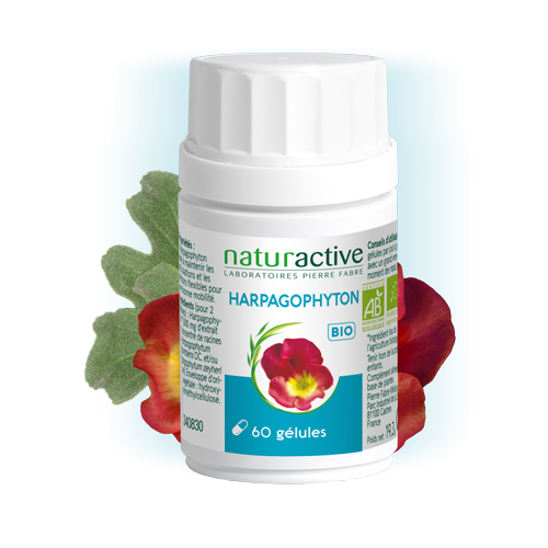 Gélules d'Harpagophyton phytothérapie