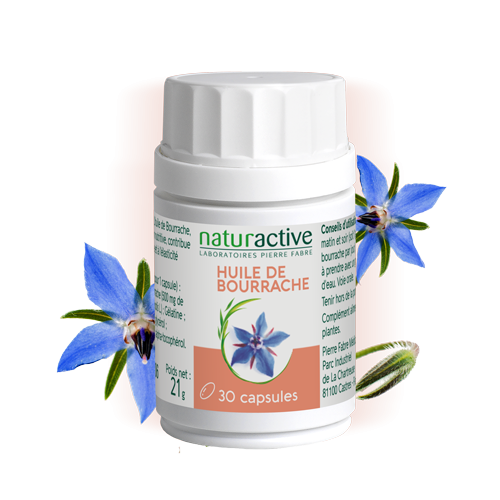 Gélules d'huile de Bourrache phytothérapie