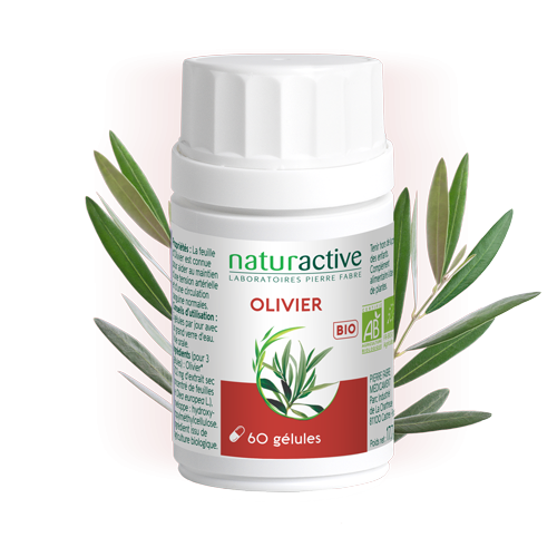 Gélules Olivier Naturactive
