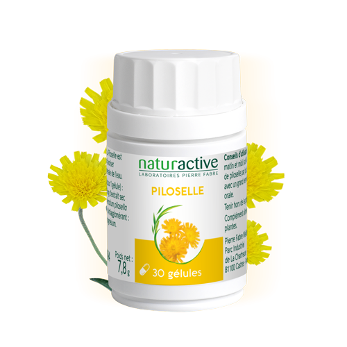 Gélules Piloselle Naturactive