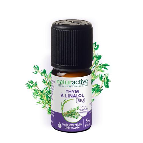 Thym vulgaire à linalol
