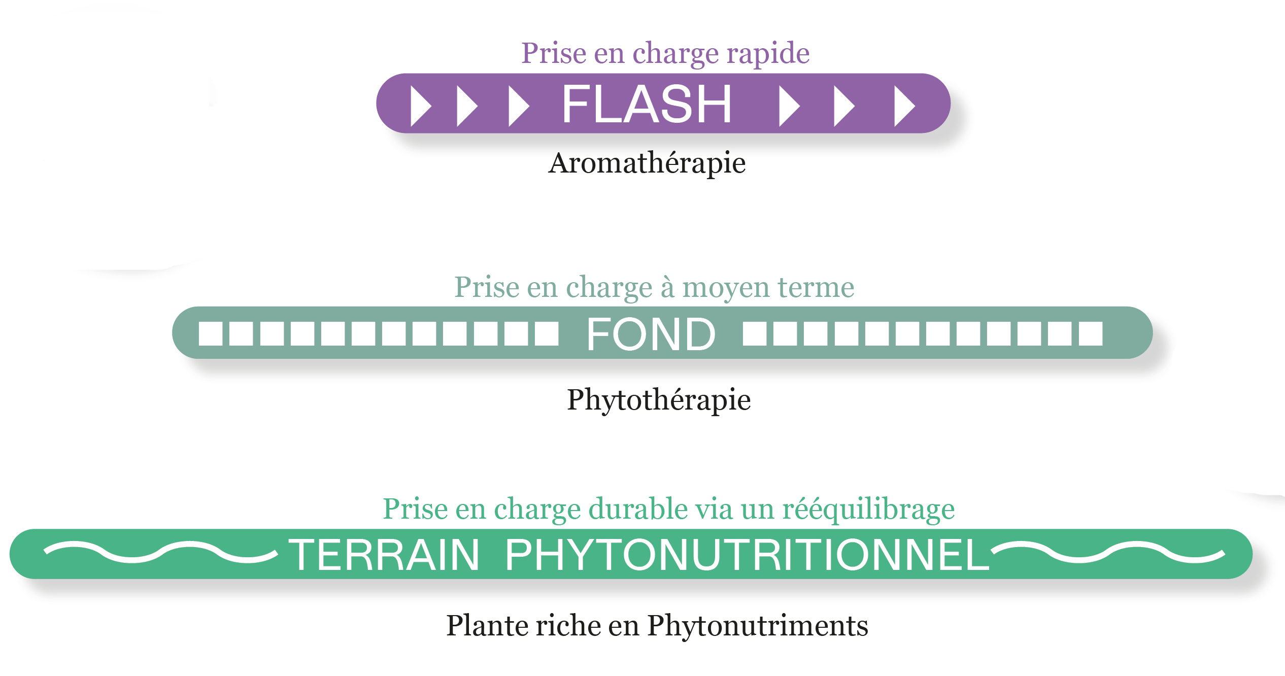 Flash-fond-terrain phytonutritionnel - Phytoscope - Phytoscopie - Naturactive